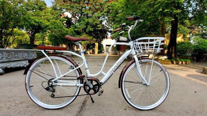 Khám phá bộ sưu tập 50+ ảnh xe đạp cực chất, với đủ loại mẫu xe dành cho cả nam và nữ, mang lại sự lựa chọn đa dạng về phong cách.