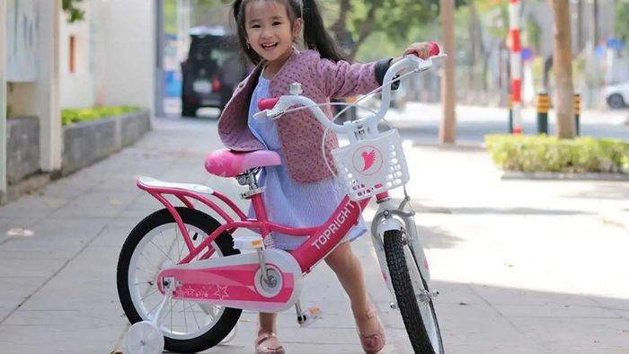 Bộ ảnh xe đạp cực chất với hơn 50 mẫu xe độc đáo, phù hợp với nhiều sở thích, từ thể thao đến địa hình, mang đến sự lựa chọn hoàn hảo cho mọi người.