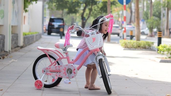 Bộ sưu tập ảnh xe đạp cực chất, đa dạng phong cách và kiểu dáng, phù hợp cho cả nam và nữ, mang đến những lựa chọn tuyệt vời cho những ai yêu thích xe đạp.