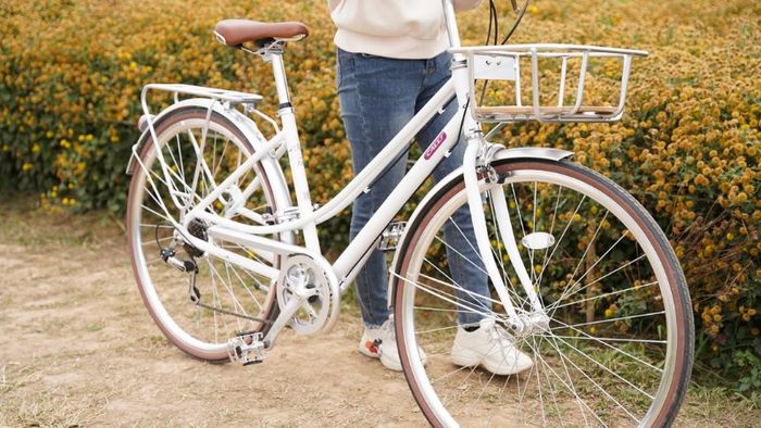 Bộ ảnh xe đạp cực chất với hơn 50 mẫu mã đa dạng, từ thể thao đến địa hình, phù hợp cho những ai yêu thích sự khác biệt và cá tính.