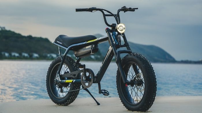 Bộ sưu tập này giới thiệu những mẫu xe đạp điện cực chất với thiết kế sáng tạo, tiện ích và phù hợp với mọi nhu cầu sử dụng.