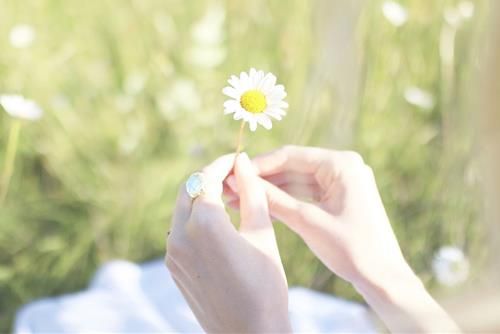 Tuổi hạnh phúc trọn vẹn cuối tuần này.