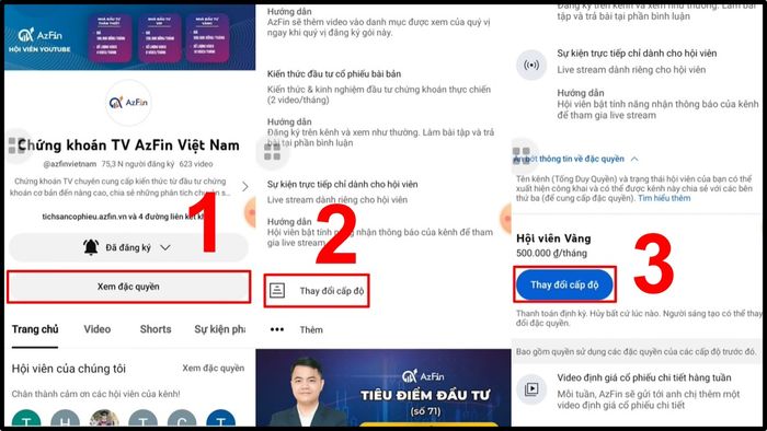 Hướng dẫn quản lý hội viên YouTube theo cấp độ