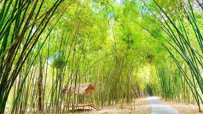 Danh lam thắng cảnh Hậu Giang