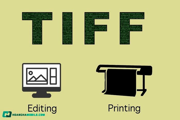 file-anh-05