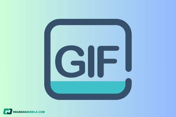 file-anh-04