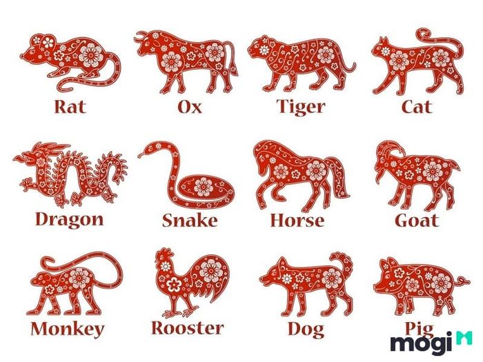 Tử vi bao gồm 12 con giáp, bao gồm Tý, Sửu, Dần, Mão, Thìn, Tỵ, Ngọ, Mùi, Thân, Dậu, Tuất, Hợi, mỗi con giáp có những mối quan hệ đặc biệt.