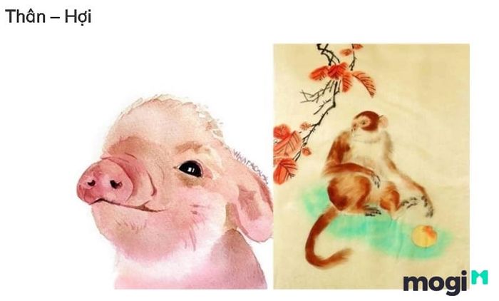 Tuổi Thân xung hại với tuổi Hợi, tạo ra sự căng thẳng và bất hòa trong mối quan hệ giữa hai tuổi này.