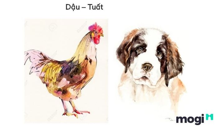 Tuổi Dậu và Tuất xung hại lẫn nhau, gây ảnh hưởng không tốt trong mối quan hệ.