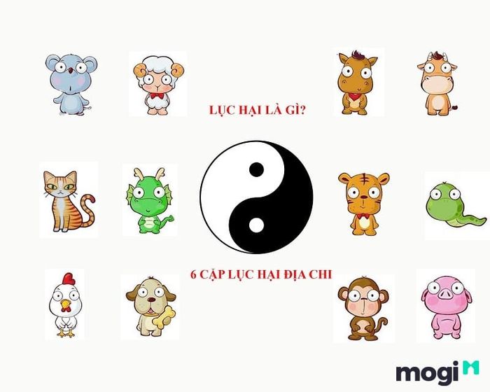 Lục Hại là một khái niệm chỉ 6 cặp giáp có mối quan hệ tương hại lẫn nhau, gây ra những ảnh hưởng không tốt trong tử vi.