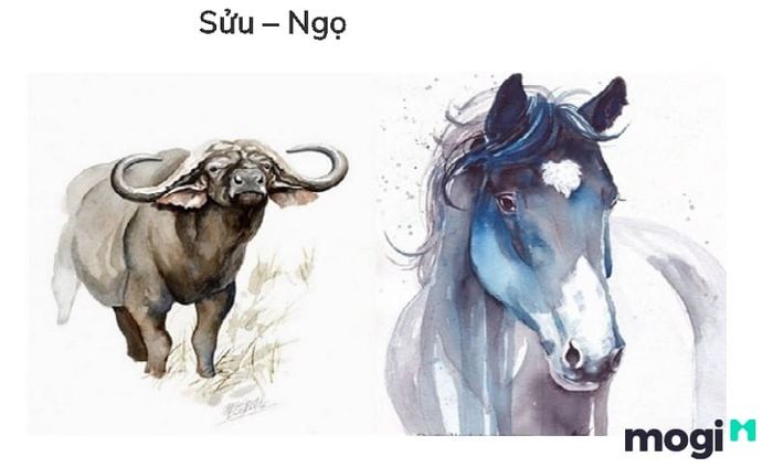 Tuổi Sửu xung hại với tuổi Ngọ, tạo ra mối quan hệ khó khăn và ảnh hưởng tiêu cực.