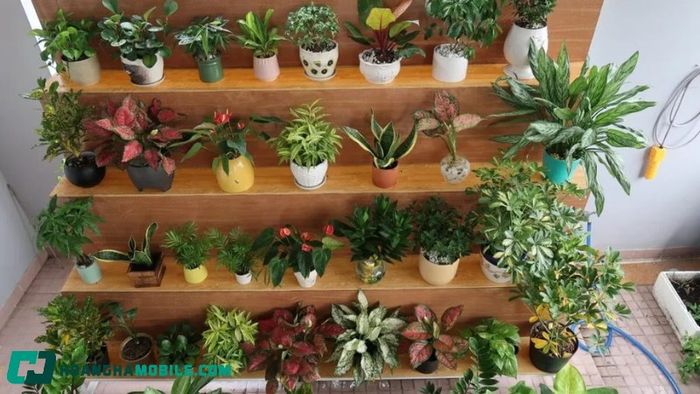 ngay-14-4-la-ngay-gi-6