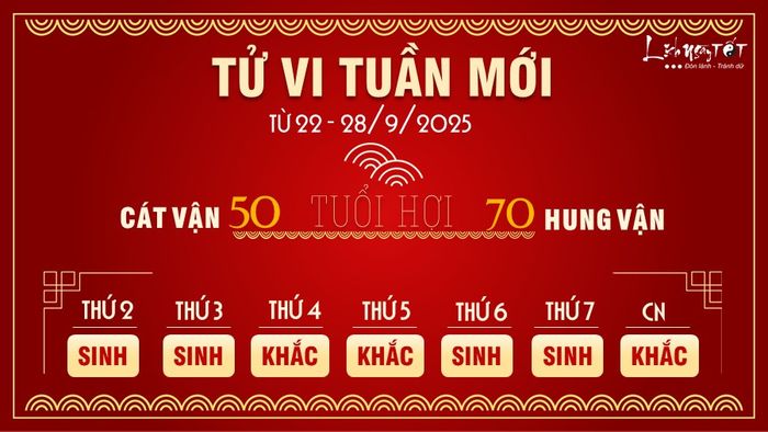 12. Tử vi tuần mới tuổi Hợi