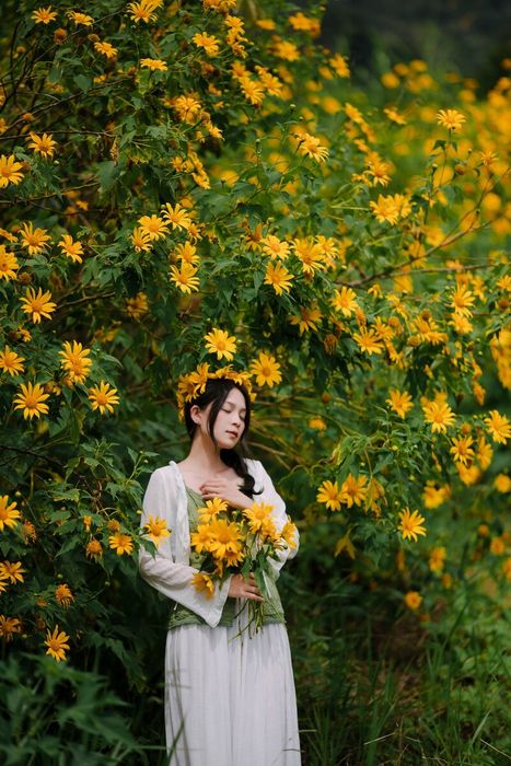 24 cảnh đẹp Đà Lạt ấn tượng giải mã sức hút của thị trấn ngàn hoa – Phần 33