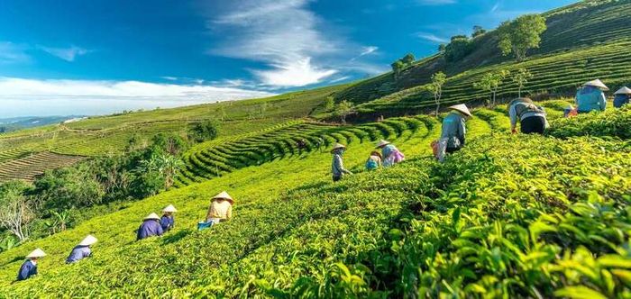 24 cảnh đẹp Đà Lạt ấn tượng giải mã sức hút của thị trấn ngàn hoa – Phần 7