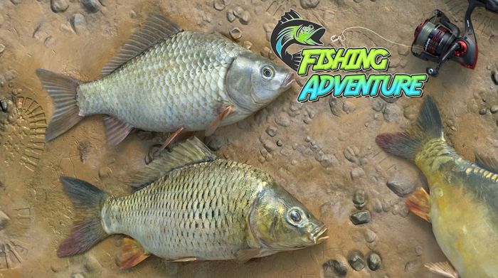 Fishing Adventure đưa người chơi đến với nhiều địa điểm câu cá nổi tiếng trên thế giới