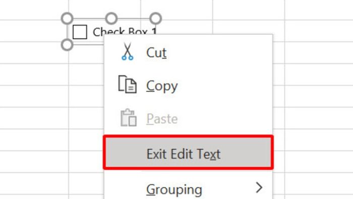 Checkbox-12