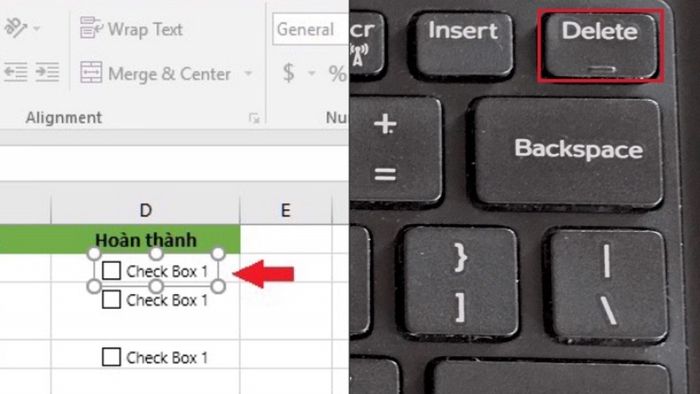 Checkbox-19