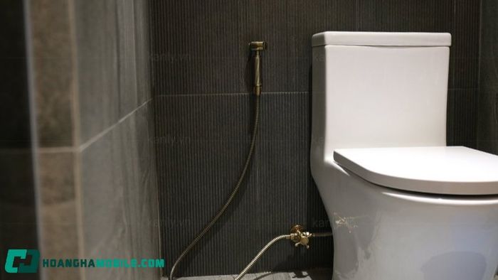 voi-xit-toilet-3