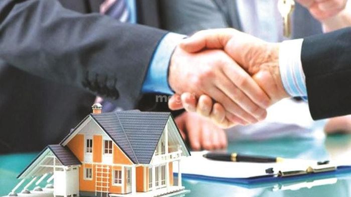 Thuê ngay các dịch vụ quản lý tài sản