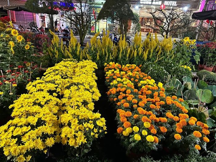 Khám phá chợ đêm Ninh Kiều, nơi giao thoa văn hóa đặc trưng của Cần Thơ.