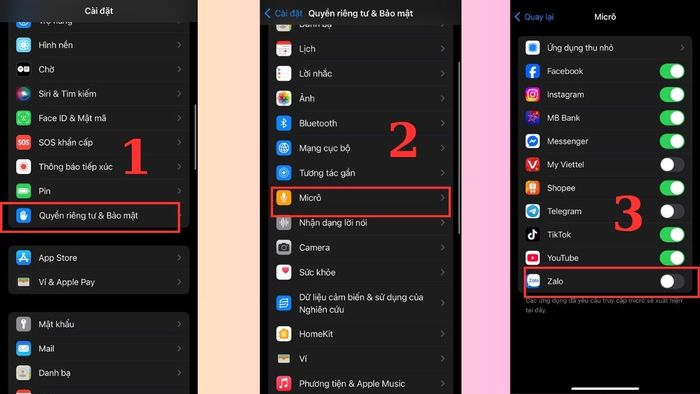 vô hiệu hóa quyền truy cập Micro