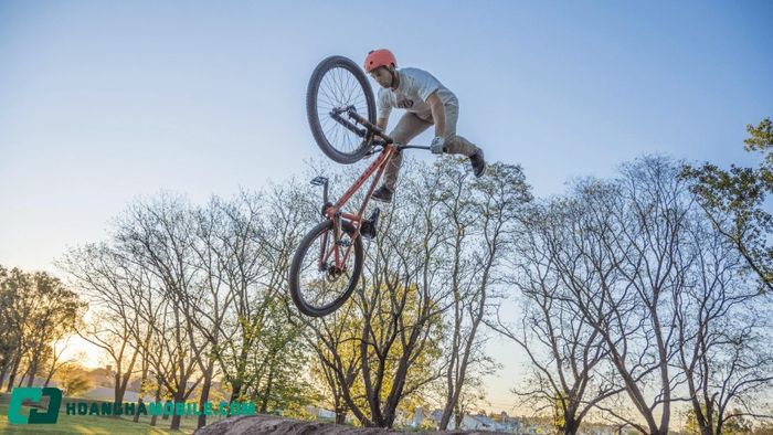 bmx-8