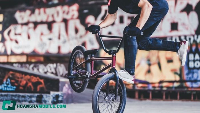 bmx-5