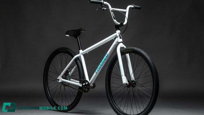 bmx-1