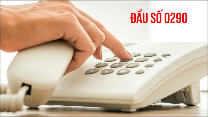 Đầu số 0290 thuộc mạng nào?