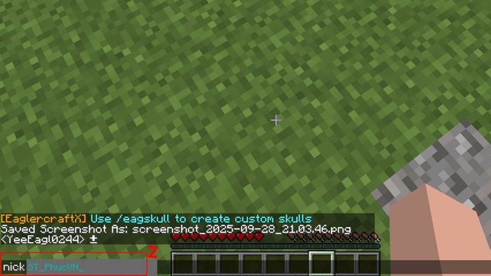 ma-mau-minecraft-8