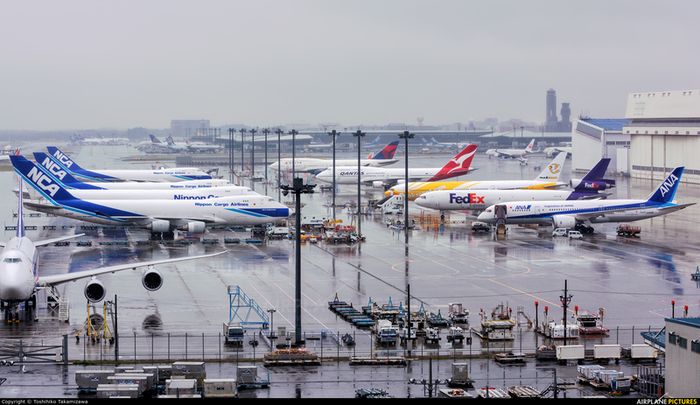 Sân bay Narita, hướng dẫn chi tiết cho hành khách Việt Nam phiên bản 7