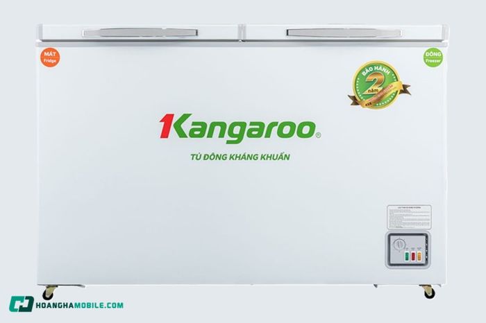 tu-dong-kangaroo-09