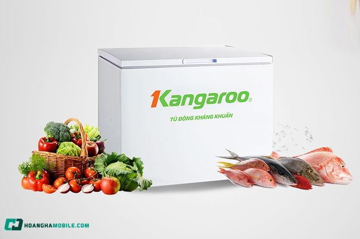 tu-dong-kangaroo-04