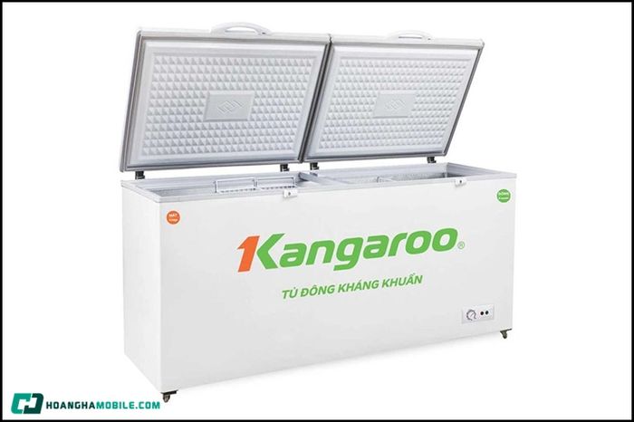 tu-dong-kangaroo-01