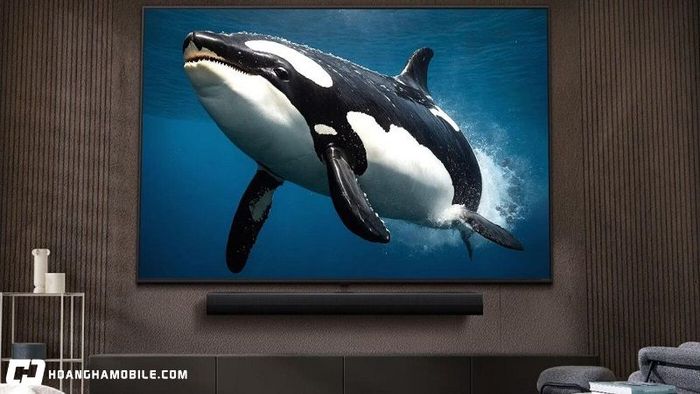 tivi-lg-43-inch-3