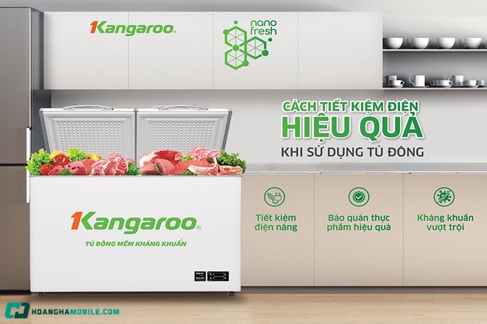 tu-dong-kangaroo-03