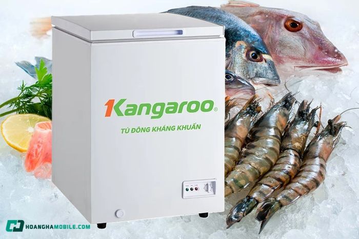 tu-dong-kangaroo-07