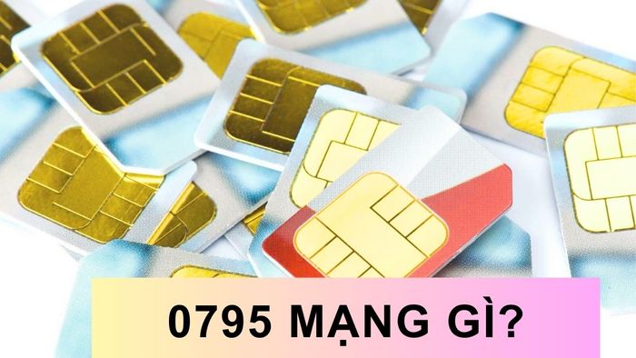 0795 là mạng nào?