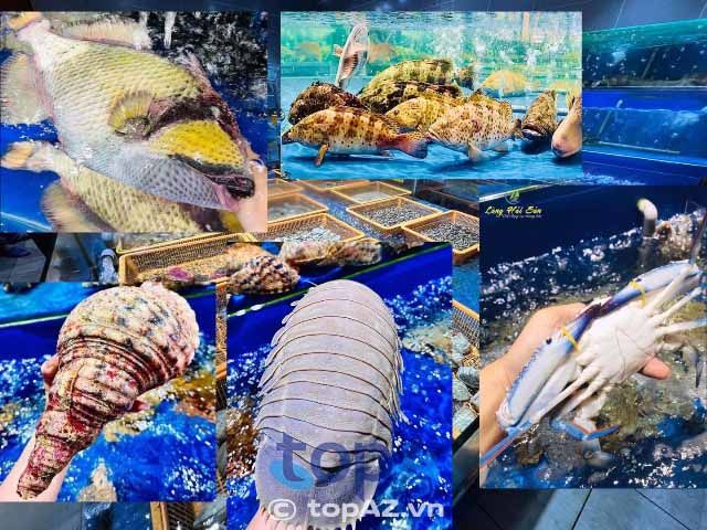 quán hải sản Đà Nẵng ngon