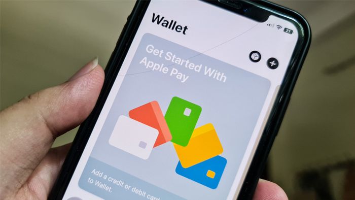 vi-apple-pay-3