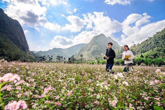 Hà Giang luôn là điểm đến tuyệt vời với những cảnh sắc kỳ vĩ, là thiên đường của những ai yêu thích vẻ đẹp hoang sơ của miền núi phía Bắc.