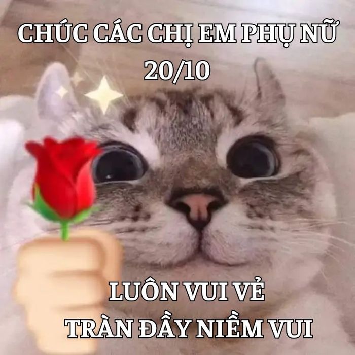 Meme tự chế tặng bạn bè nhân dịp 20/10