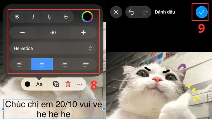 Tận dụng ảnh vui nhộn và thêm caption 20/10 để tạo meme độc đáo