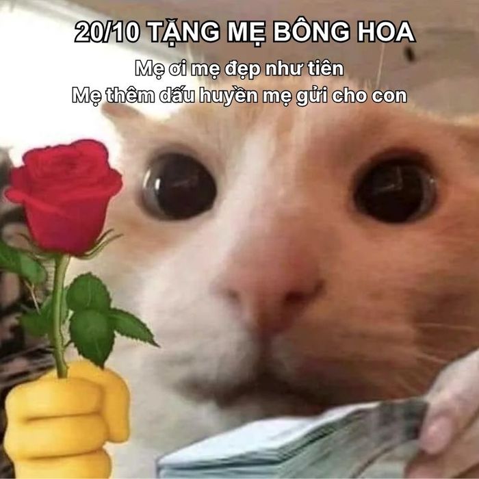Meme hài gửi tặng mẹ yêu thương