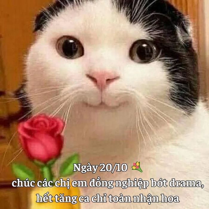 Meme 20/10 tự chế với phong cách riêng biệt và độc đáo