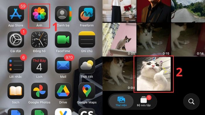 Tạo meme bằng ảnh hài hước và thêm caption 20/10 thú vị