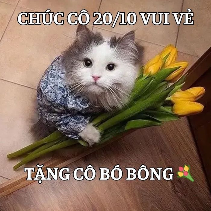 Meme hài tặng cô giáo nhân dịp 20/10