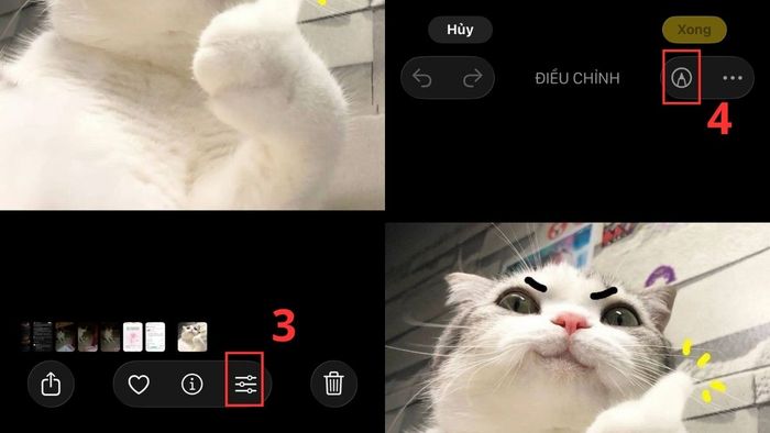 Tạo meme với ảnh hài hước và thêm caption 20/10 độc đáo