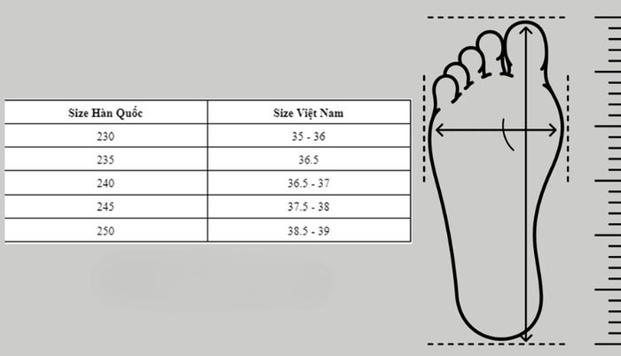 size-37-tuong-duong-bao-nhieu-cm